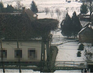2010-02-18_091701.jpg