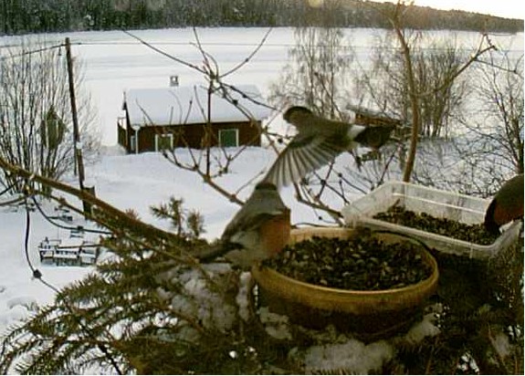 2010-02-18_153010.jpg