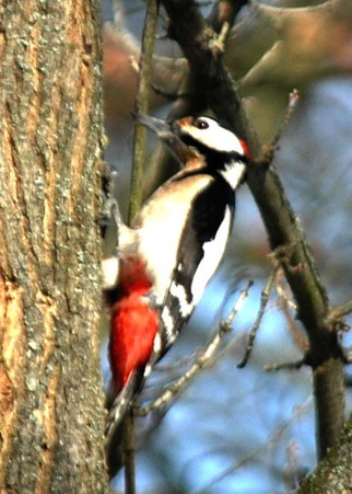 2010-02-18_164125.jpg