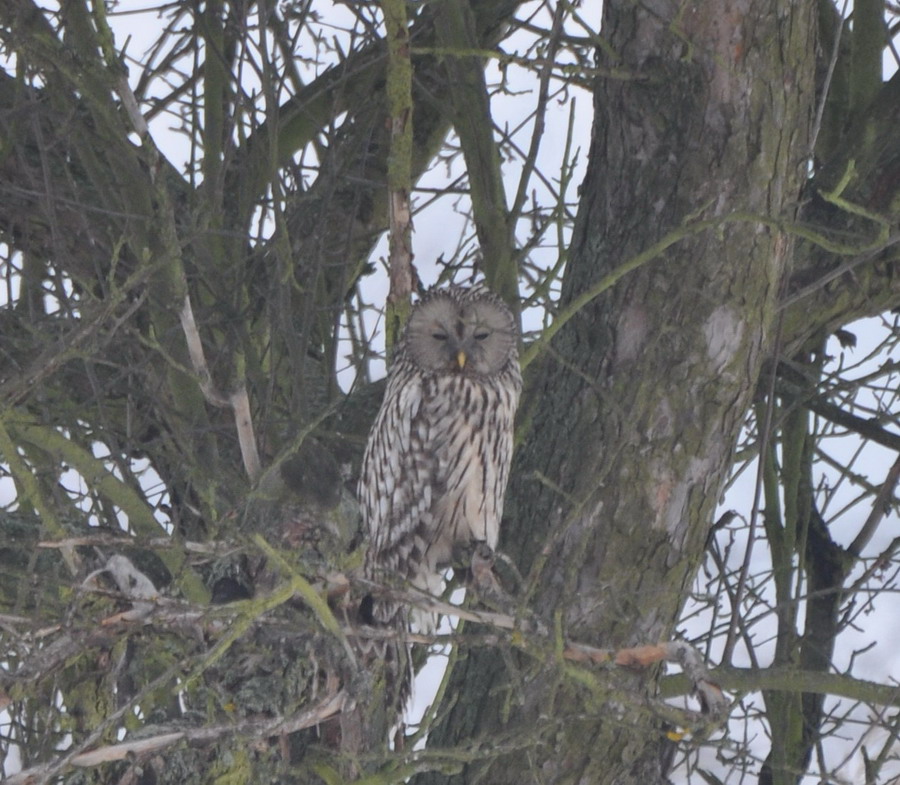 DSC_5868.jpg