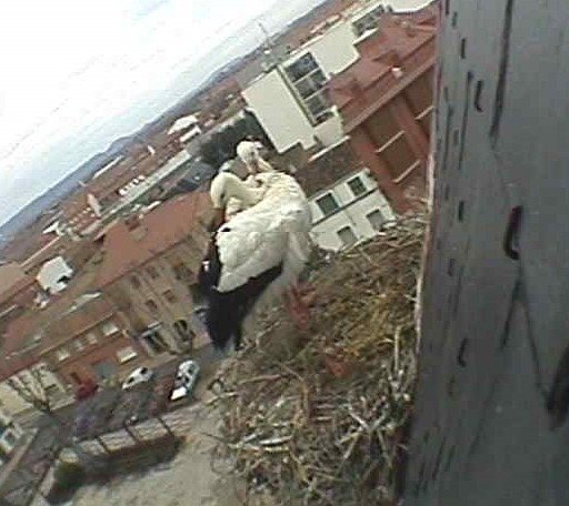 2010-02-19_102205.jpg