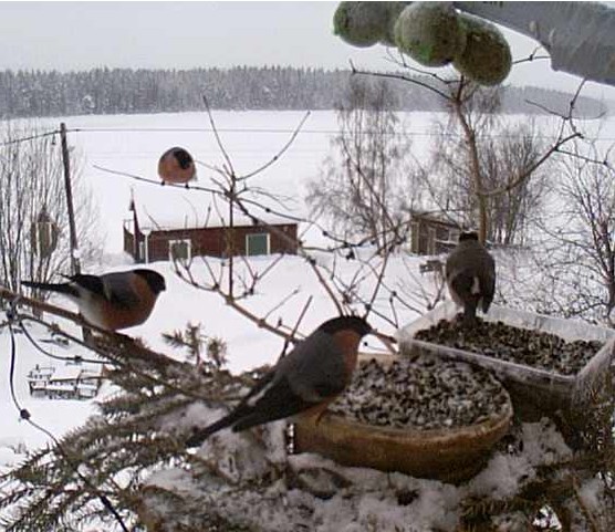 2010-02-19_123604.jpg