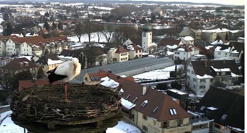 2010-02-20_185806.jpg