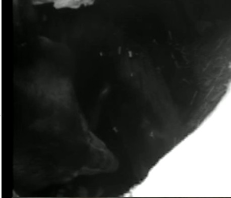 2010-02-20_192203.jpg