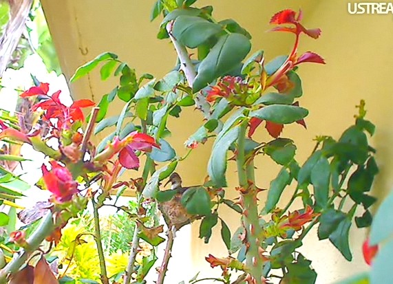2010-02-20_205147.jpg