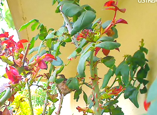 2010-02-20_205755.png