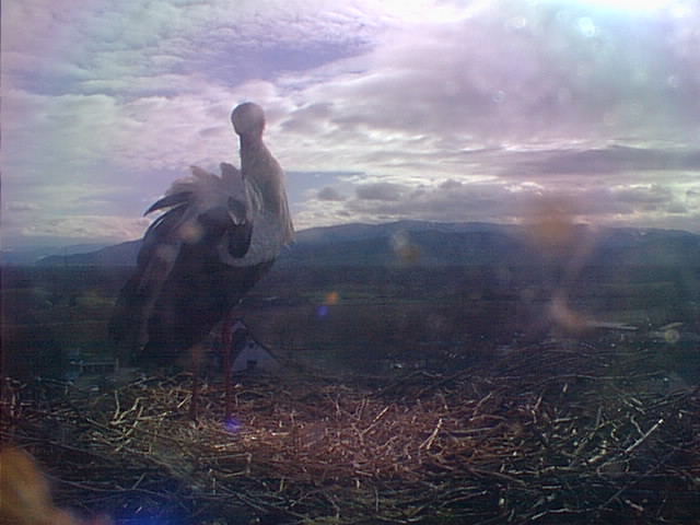 f_20100221103501.jpg
