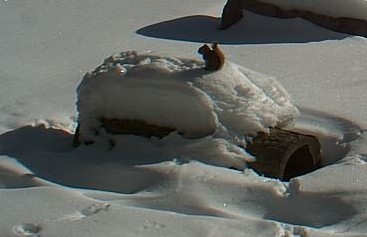 2010-02-21_181732.jpg