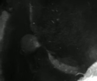 2010-02-21_183006.jpg