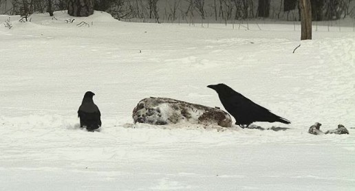 2010-02-22_083254.jpg