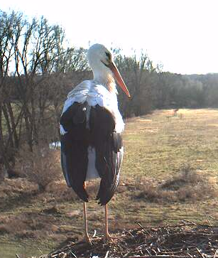 2010-02-22_155952.png