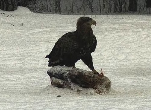 2010-02-22_170858.jpg