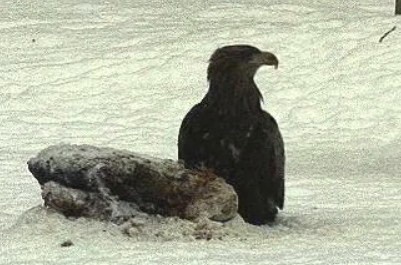 2010-02-22_171402.jpg