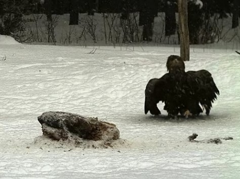 1_2010-02-22_160849.jpg