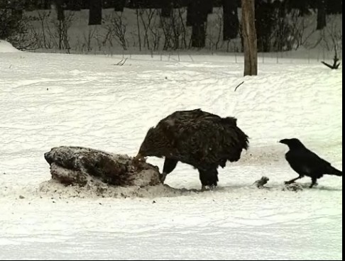 2010-02-22_155740_farokh1.jpg