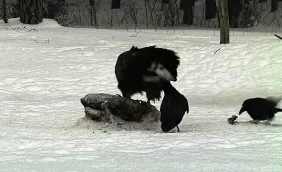 2010-02-22_164958_farok3.jpg