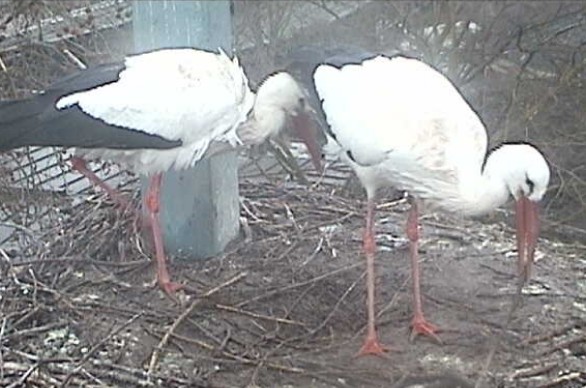 2010-02-23_073410.jpg