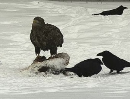 2010-02-23_125256.jpg