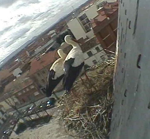 2010-02-23_125809.jpg