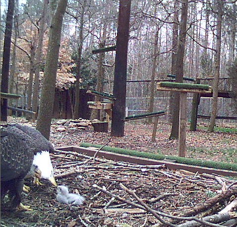 2010-02-23_212745.jpg