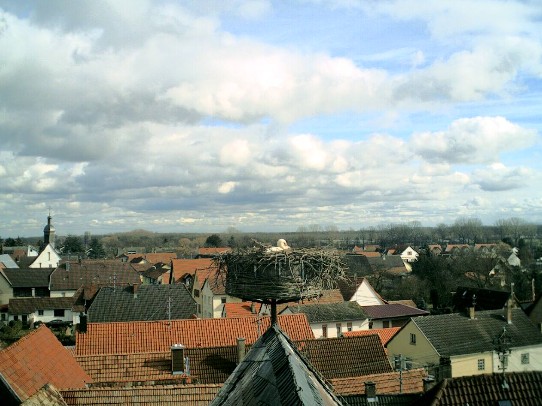 2010-02-24_131932.jpg