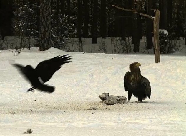 2010-02-24_161817.jpg