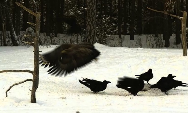 2010-02-24_161623.jpg