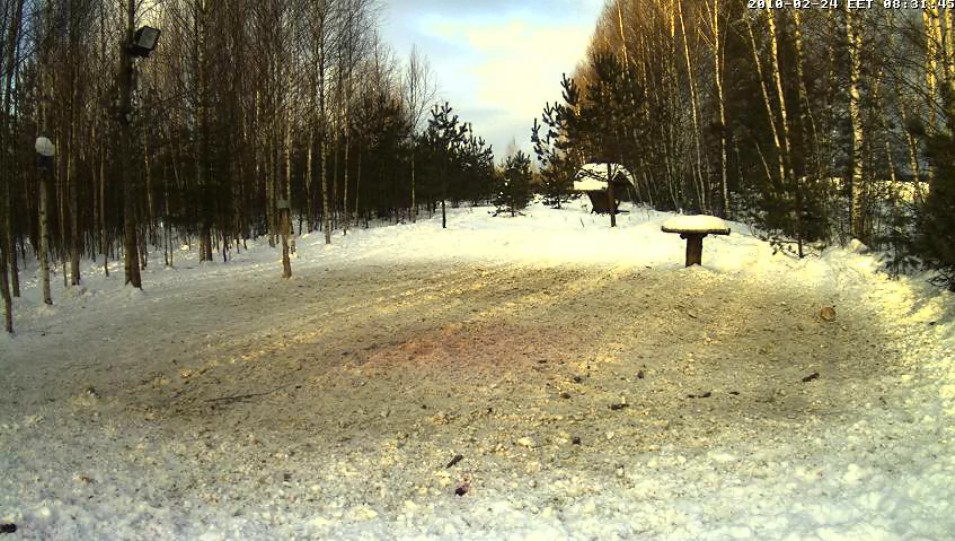2010-02-24_073216.jpg