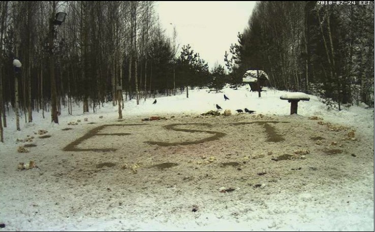 2010-02-24_182716.jpg