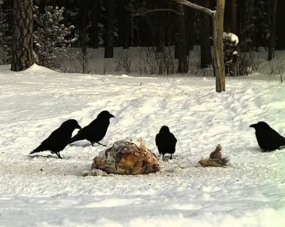 2010-02-25_061526.jpg