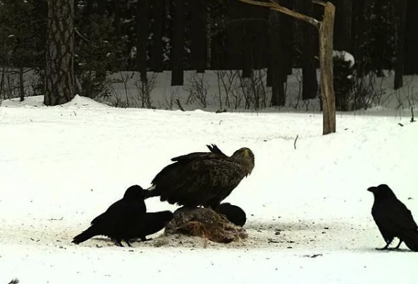 2010-02-26_063230.jpg