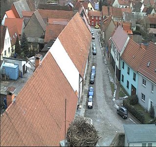 2010-02-26_152526.jpg