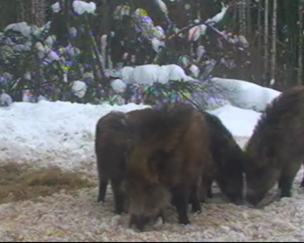 2010-02-26_152753.jpg