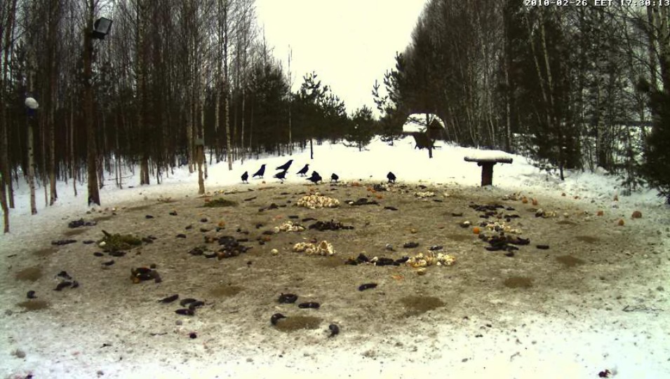 2010-02-26_163044.jpg