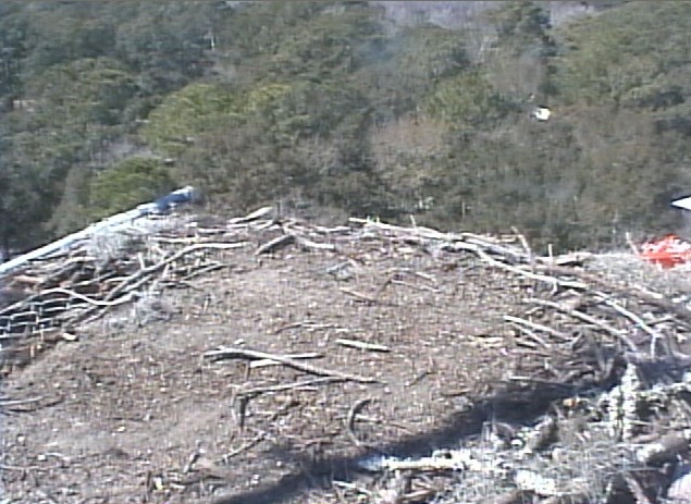 2010-02-26_182907.jpg
