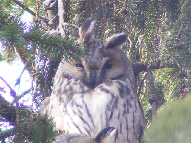 DSCF8788 (Small).JPG