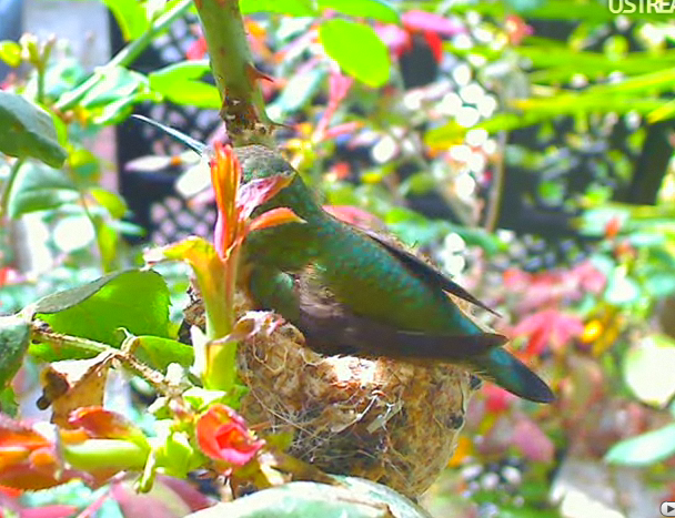 2010-02-26_225126.png