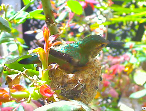 2010-02-26_225150.png