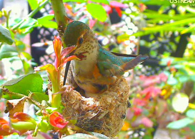 2010-02-26_225950.png