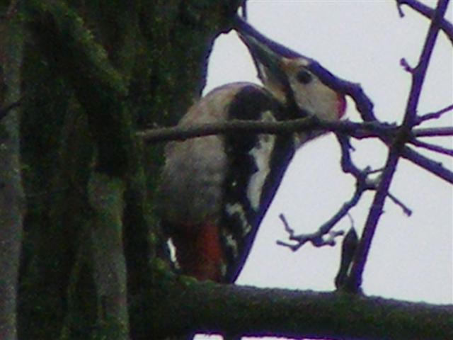DSCF8892 (Small).JPG