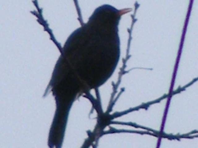 DSCF8890 (Small).JPG
