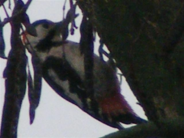 DSCF8893 (Small).JPG