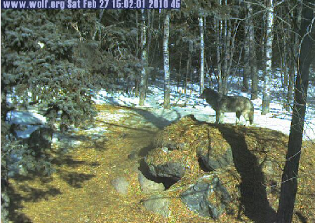 2010-02-27_220228.png