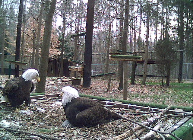 2010-02-27_221533.jpg