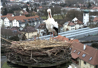 2010-02-28_091159.png