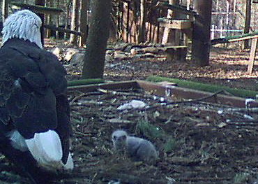 2010-02-28_143726.jpg