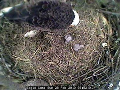 2010-02-28_165327.png