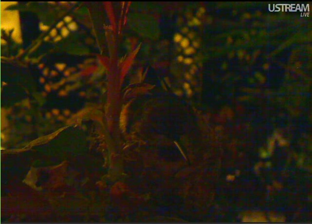 2010-03-01_051718.jpg