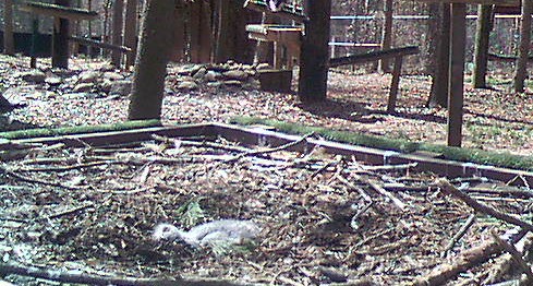 2010-03-01_175038.jpg