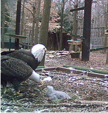 2010-03-01_214605.png
